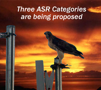 ASR Categories Birds Towers